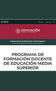 Previsualización de la pagina 'Desarrollo Profesional Docente'